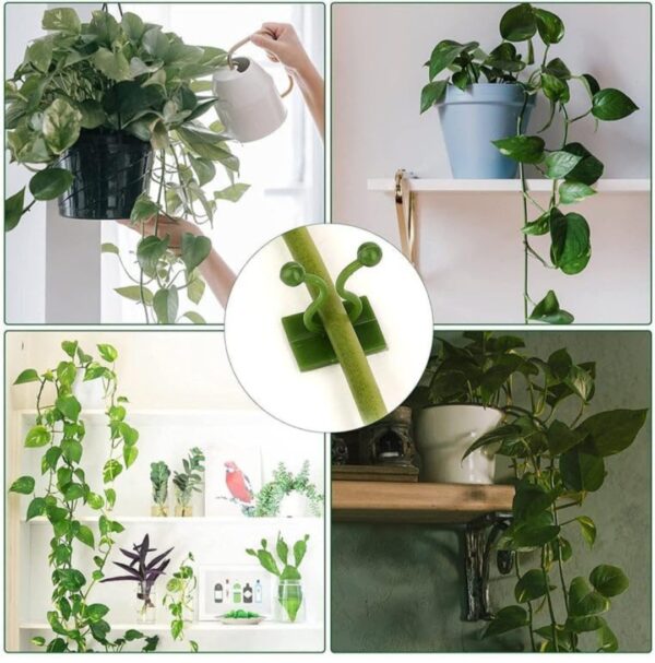 30PCS Wall Plants Climbing Clip - Image 4